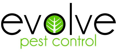 evolve pest control mesquite|evolve exterminators.